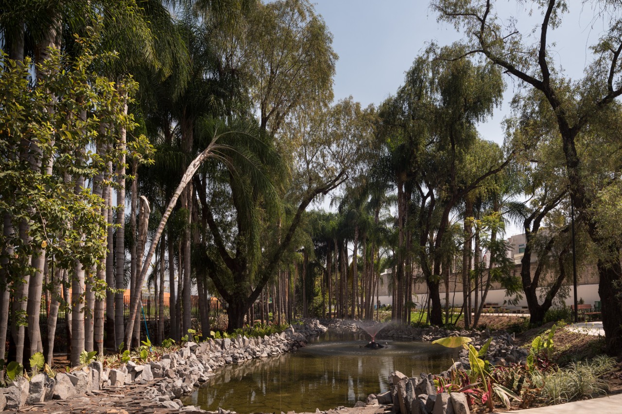 Parque lineal y plazoleta del conjunto habittacional Punta Foresta ubicado en Zapopan Jalisco.